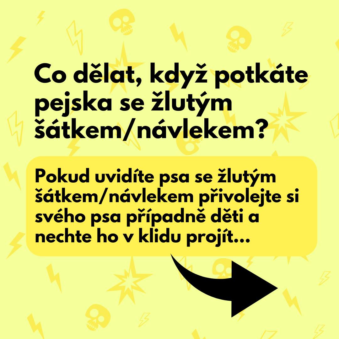 zluty satek vencimstylove 1